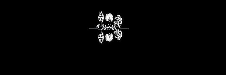 CrazySlot_'s profile banner image
