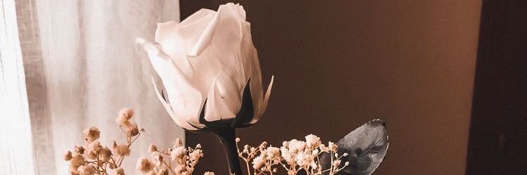 halidanatap's profile banner image