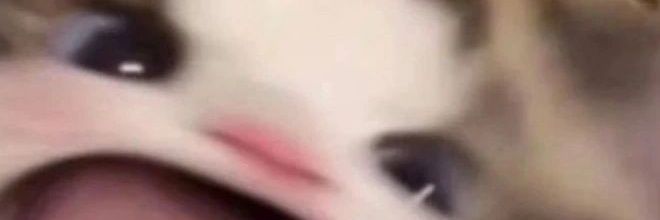 DamianR_oc's profile banner image