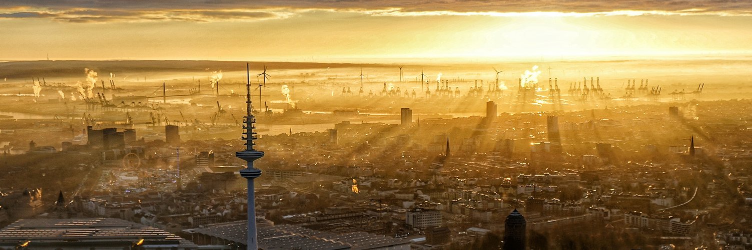 Adam Pavljukov banner