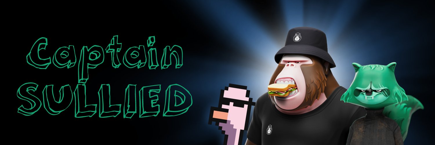 Captain Sullied banner