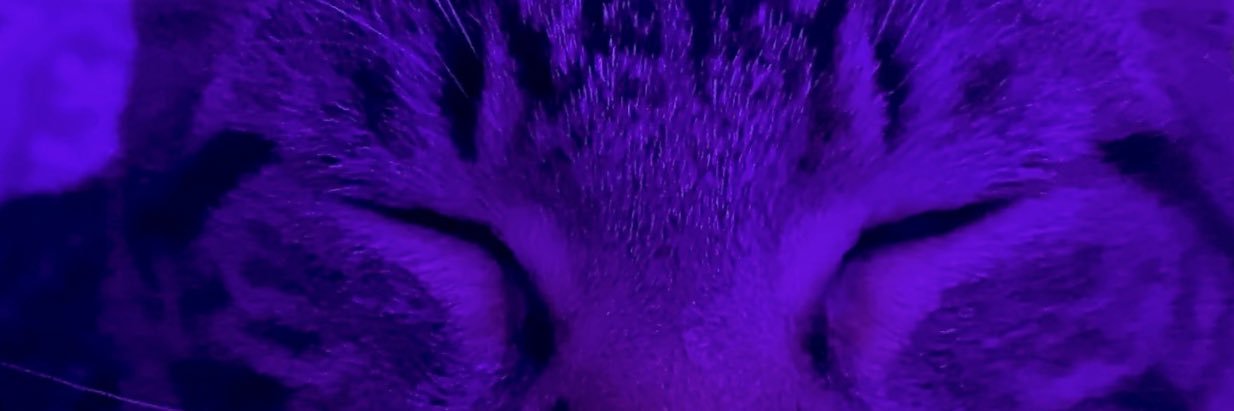 katxdla's profile banner image