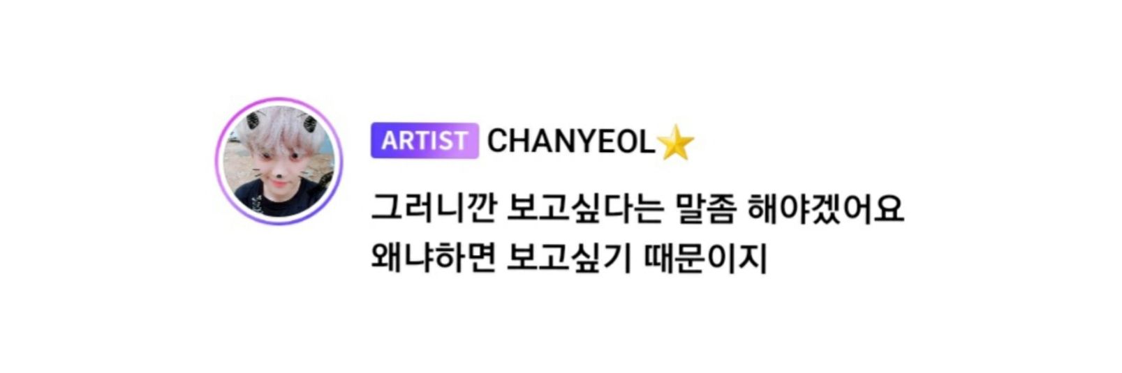 체리대장의 오른팔 라봉🍒 banner