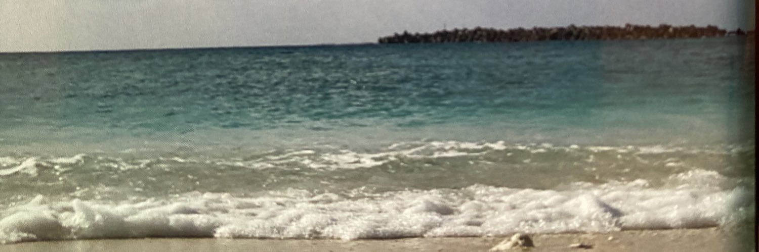 girlyvanilla's profile banner image