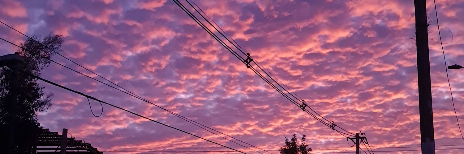 F_lrs_'s profile banner image