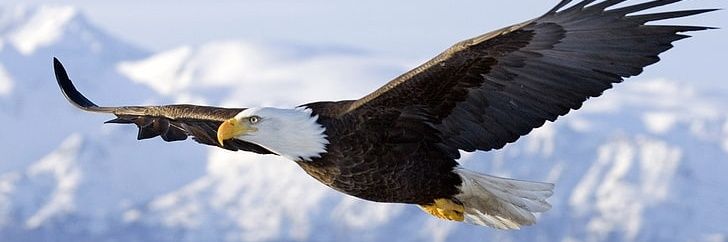 preetam611's profile banner image