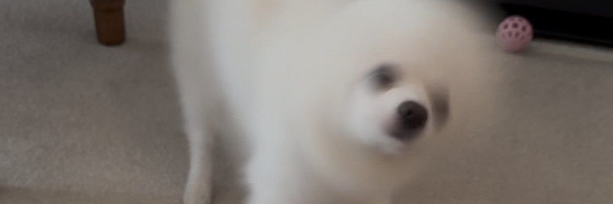 __npan's profile banner image