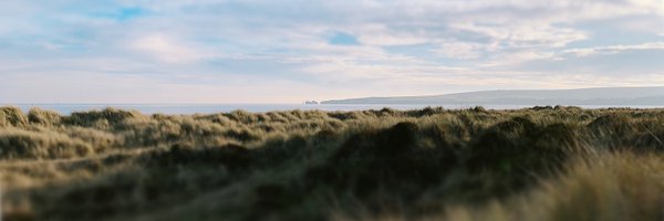 dizzyup Profile Banner