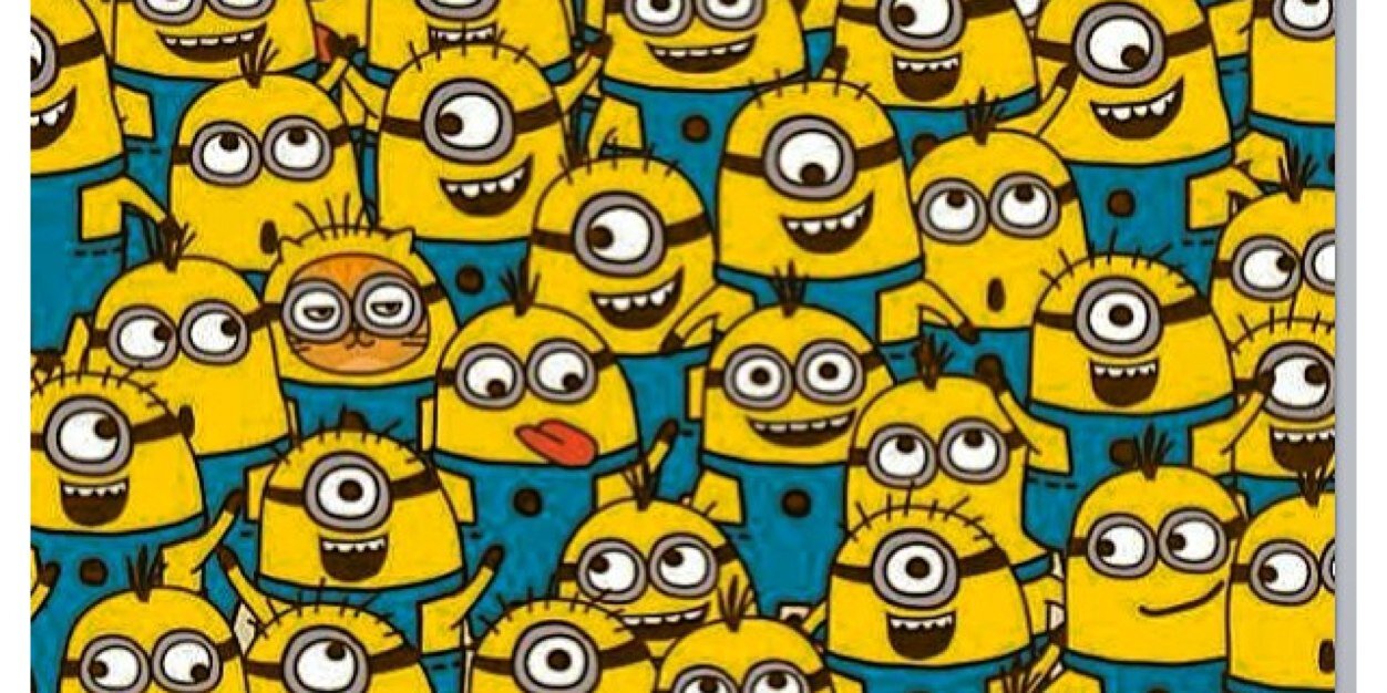 SunnyNicha's profile banner image