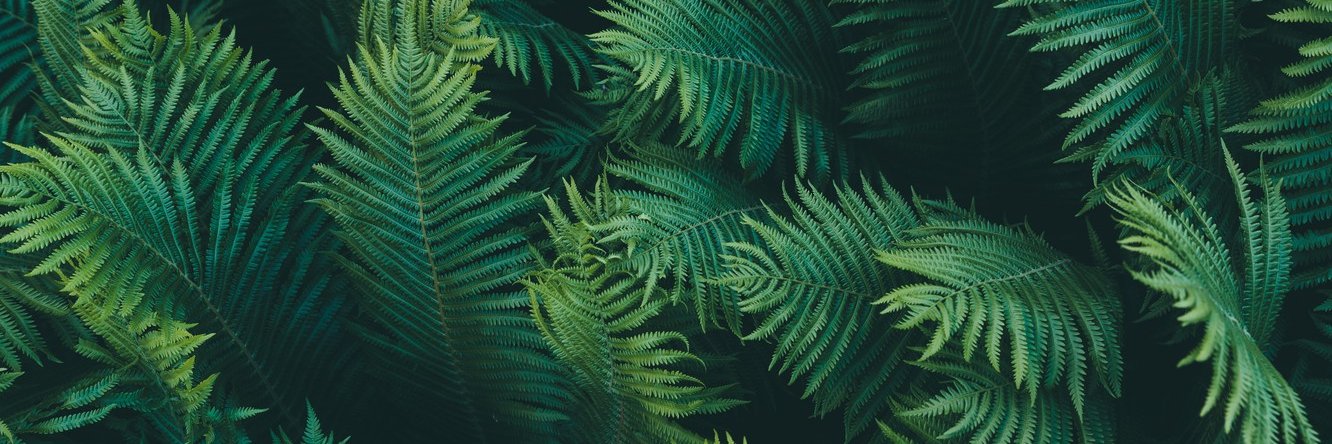 DigitalCrusoe's profile banner image