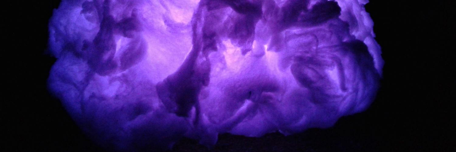 trisaliie's profile banner image