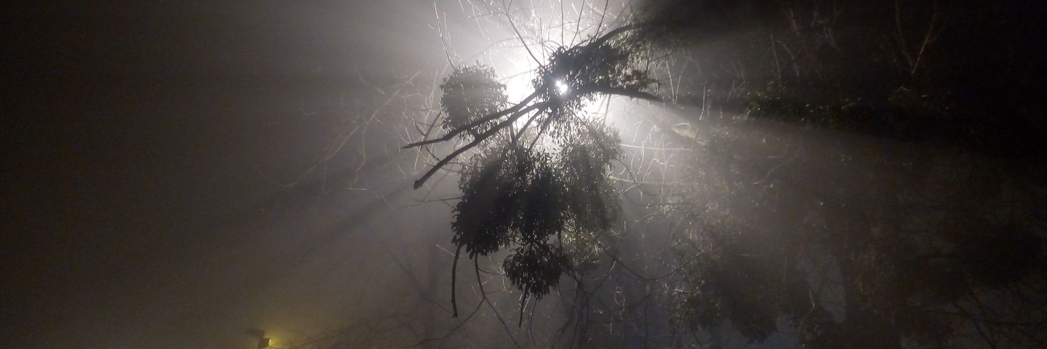tviter23's profile banner image