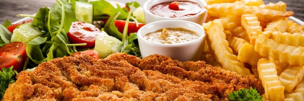 TheSchnitzelCompany banner