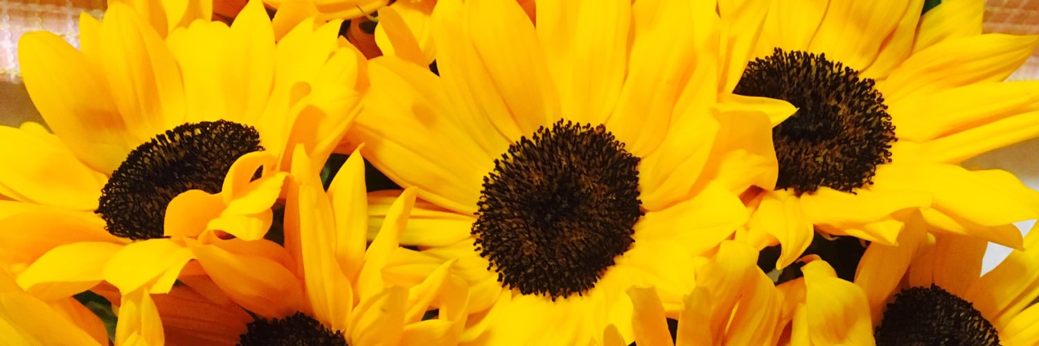 _hi_dayo's profile banner image