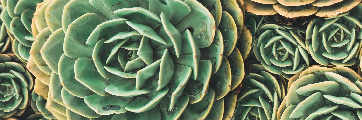 GeoBlend's profile banner image