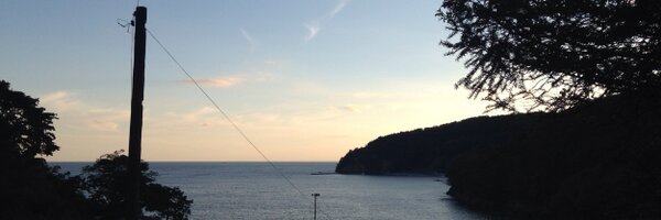 hazukieins Profile Banner