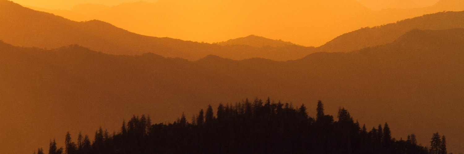 arisl39's profile banner image