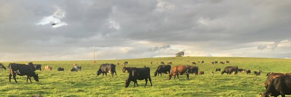 alunlawrence1 Profile Banner