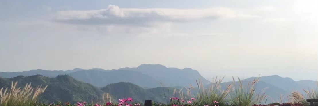 PolusiCyber's profile banner image