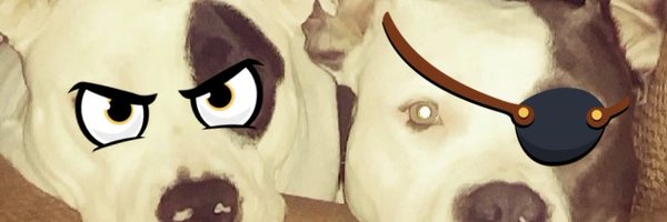 ncognito_12 Profile Banner
