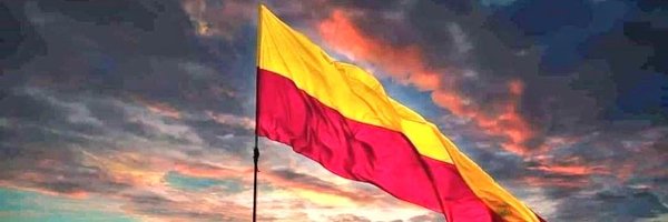 rrking99 Profile Banner