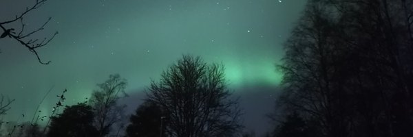 viragilyes Profile Banner