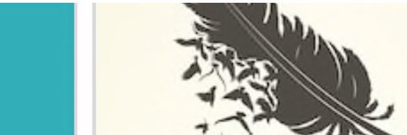 Steph E Barry banner