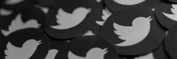 desechable Profile Banner