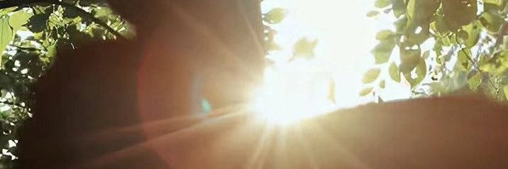 Kacey🦋 banner