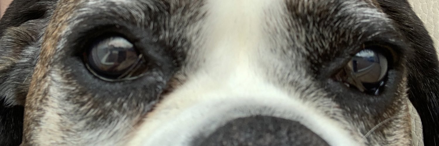 Burnsy 🏴󠁧󠁢󠁳󠁣󠁴󠁿 banner