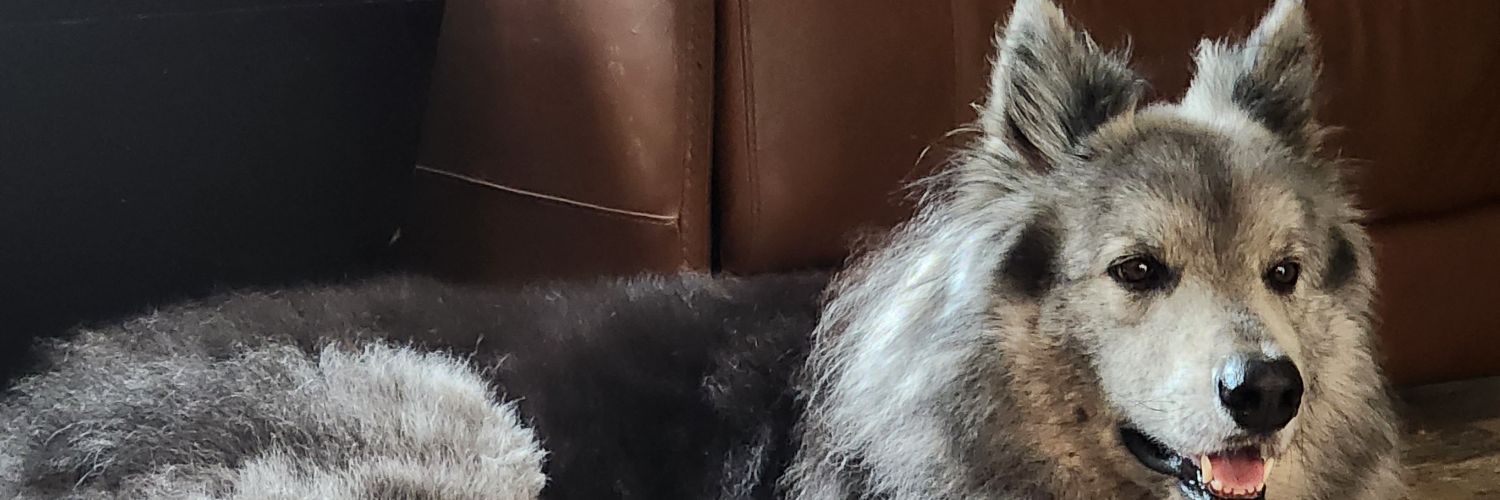 ╰☆☆ ร𝓸𝐧Ƴ𝒶 ☆☆╮ banner