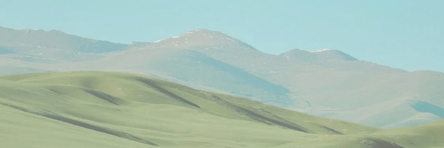 beryoza_ banner