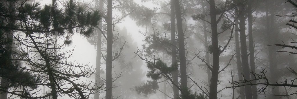 2foischa's profile banner image