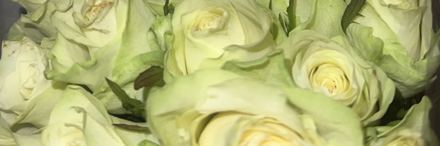 megs 🍒 banner