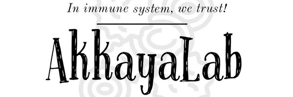 akkayalab Profile Banner