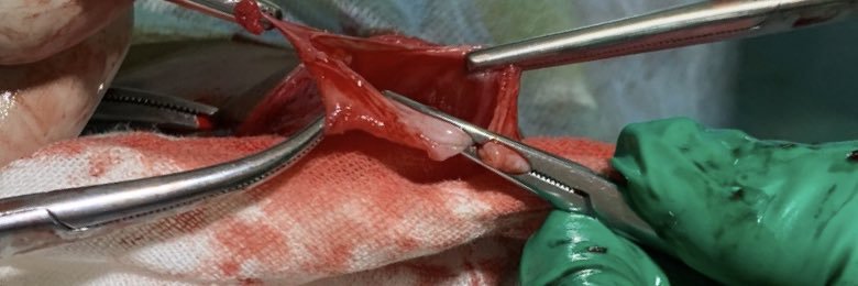 Cybrill, Arzt🇨🇲 banner