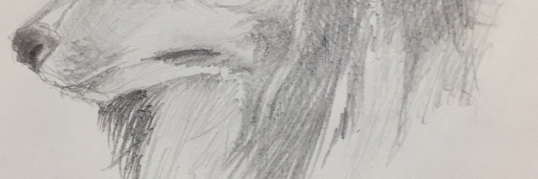 秦＠充電中 banner