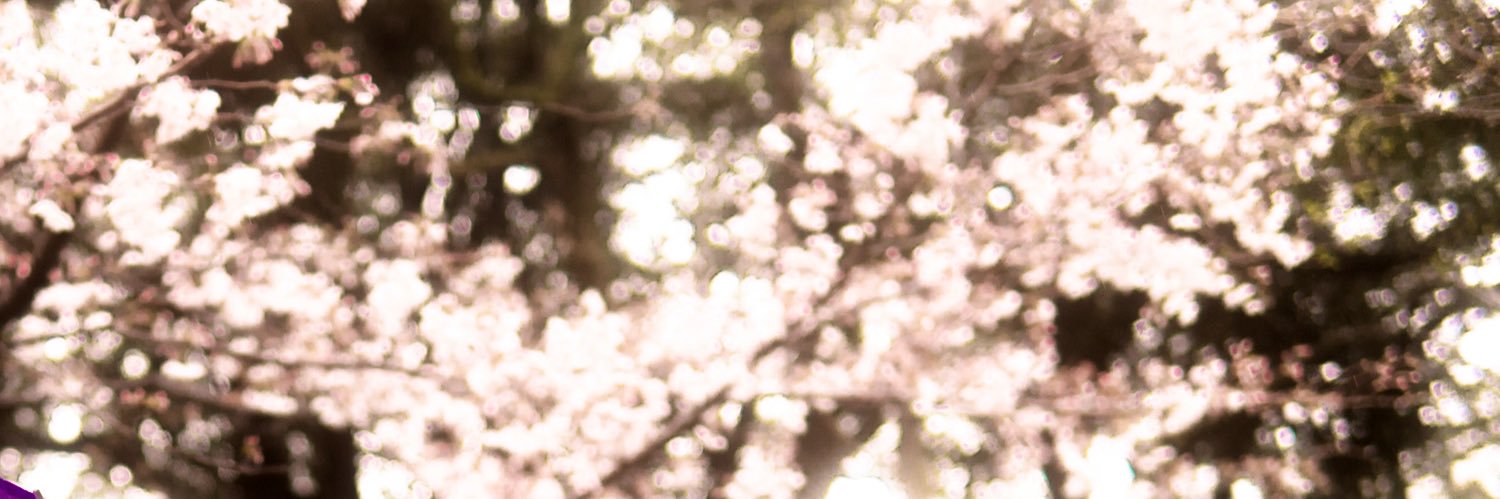 iram801's profile banner image