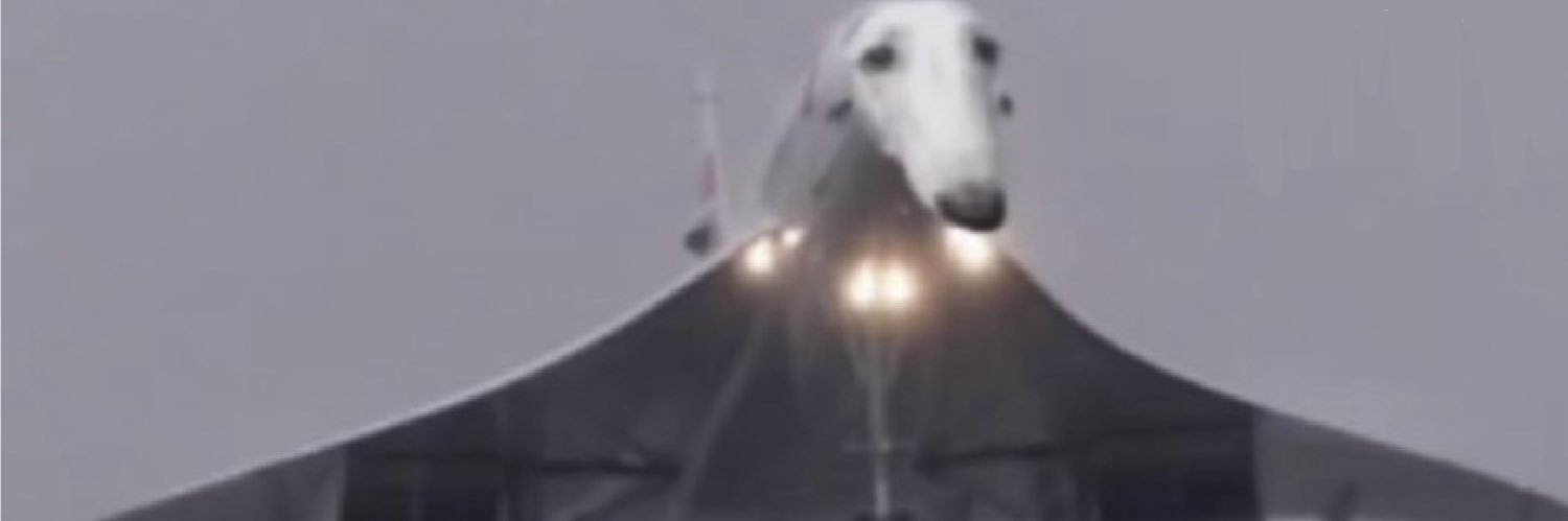 Lulla 🔜 Pawske banner