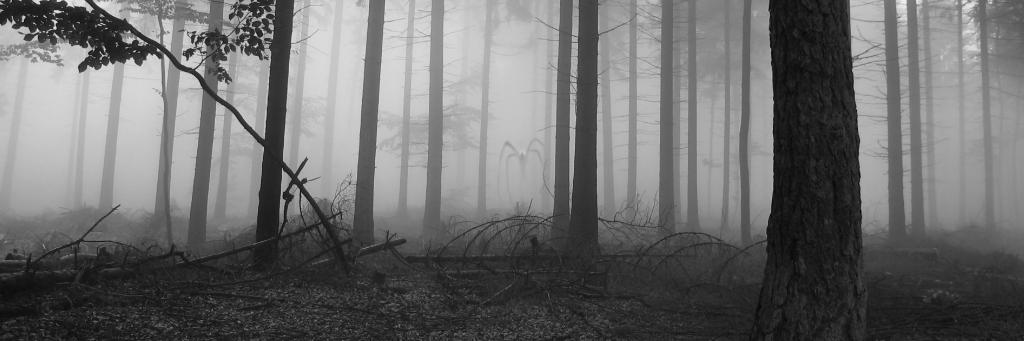 rob_casonfan's profile banner image