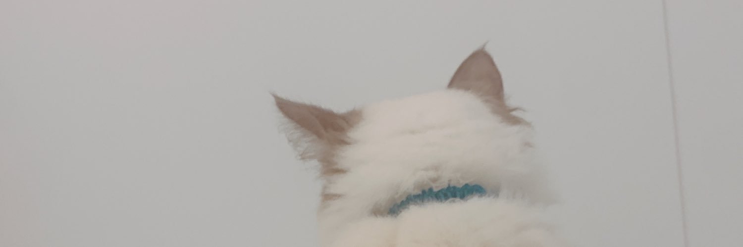 __1001722's profile banner image