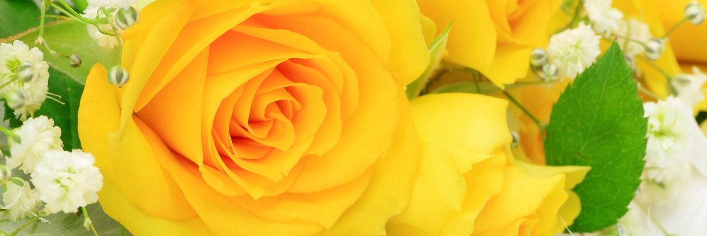 k10_libra's profile banner image