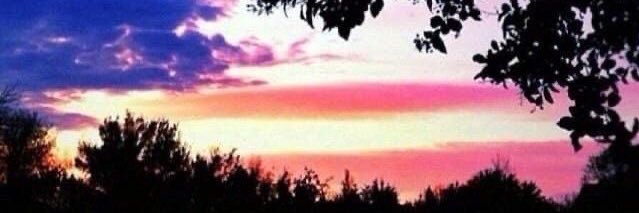 Lynette Selert banner