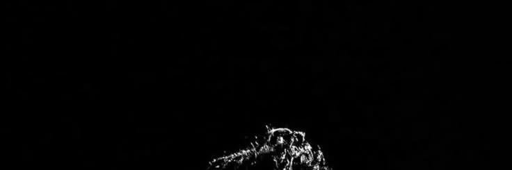 Enlighted banner