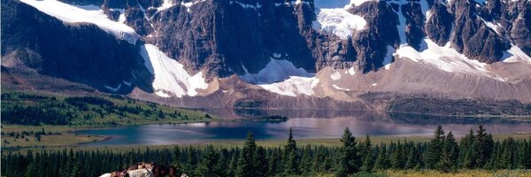 CdnPrincipals Profile Banner