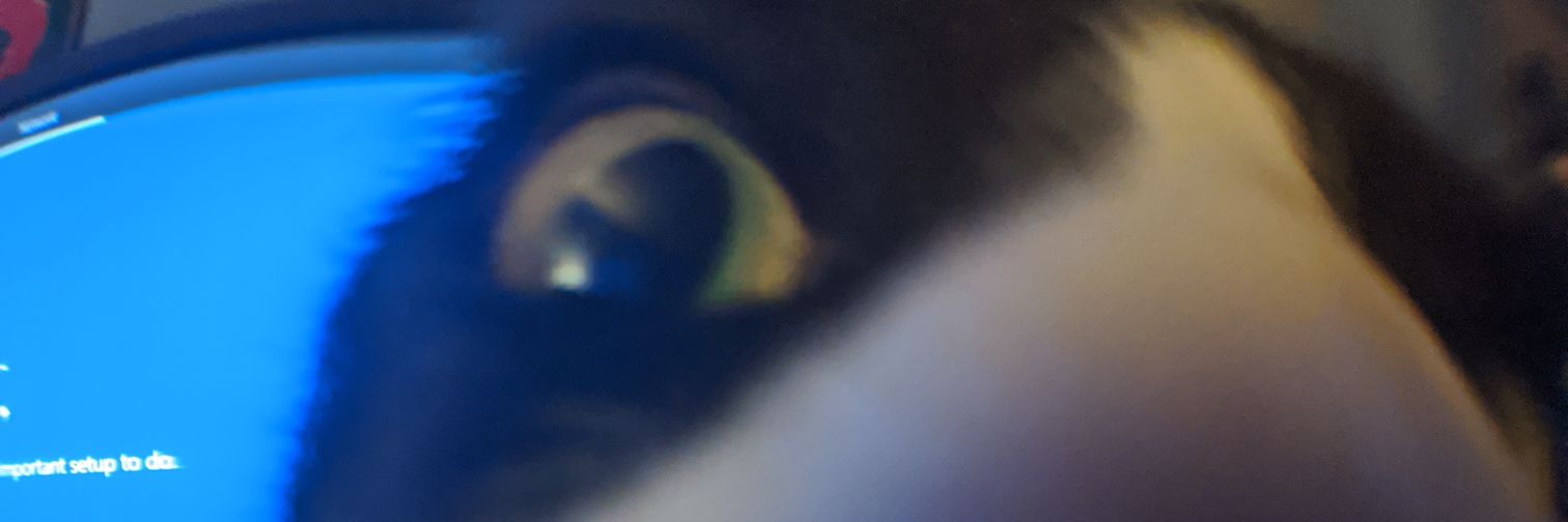sonicomega's profile banner image