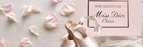 el ₊ ⊹ ୨ৎ banner