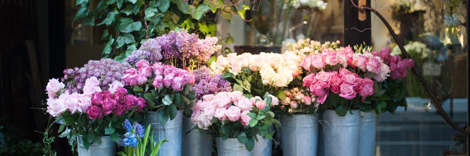 ludelplanque's profile banner image