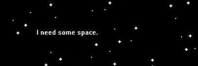 🐨 banner