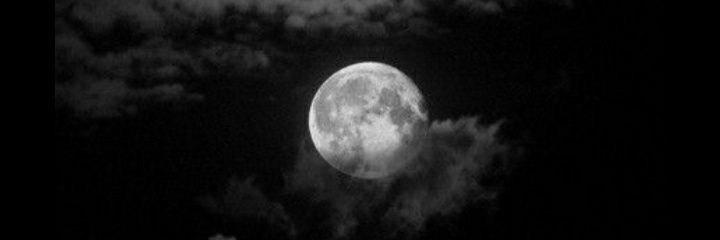 El_funsinger's profile banner image